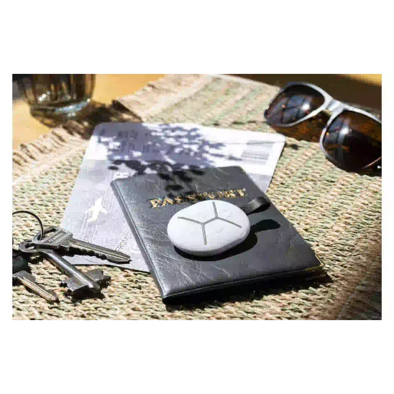 Schlüsselanhänger U-Prox (4820261370461)