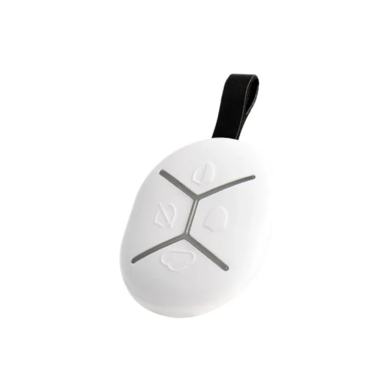 Schlüsselanhänger U-Prox (4820261370461)