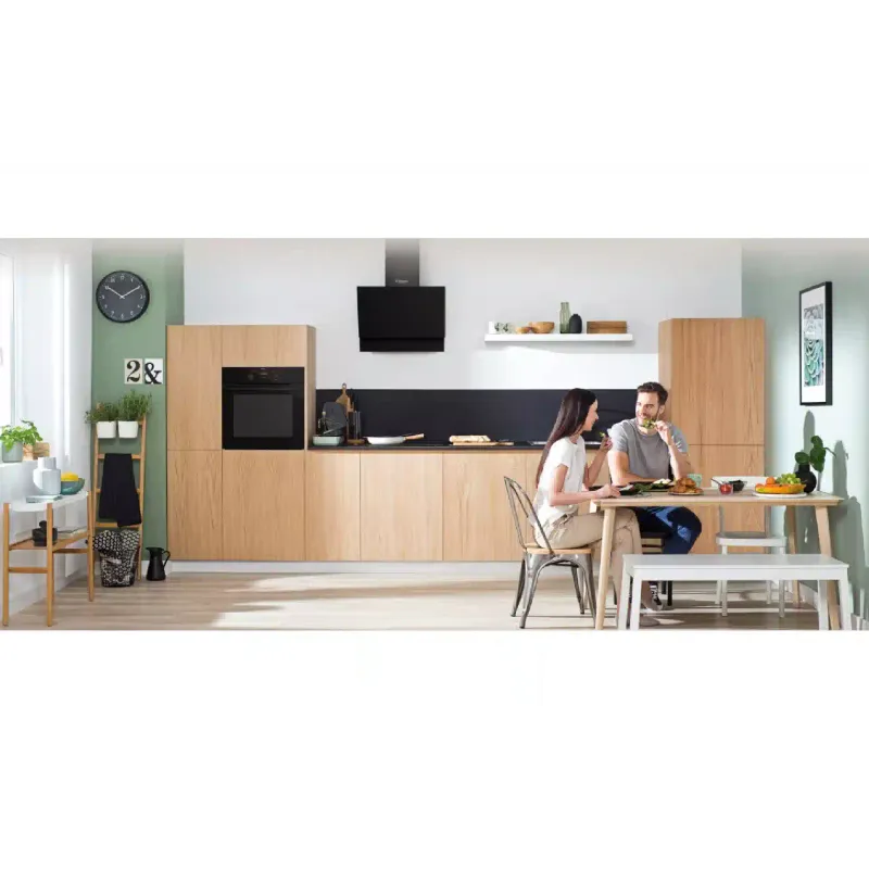 Абсорбатор Hansa (OKP6547SH)