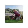 Tesouras de grama Einhell (3410313K)