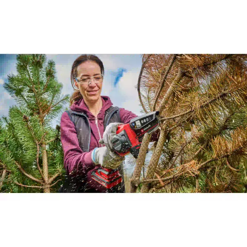 Láncfűrész Einhell (4600040)