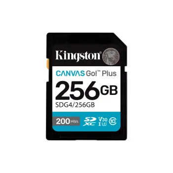 Memóriakártya Kingston (SDG4/256GB)