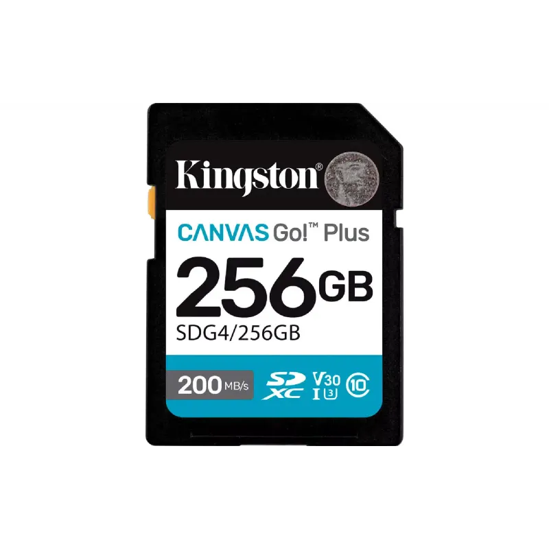 Cartão de memória Kingston (SDG4/256GB)