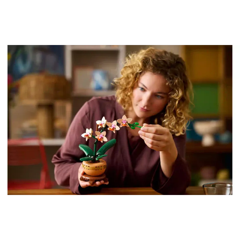 Konstruktor LEGO Botanicals Mini Orchid (10343)
