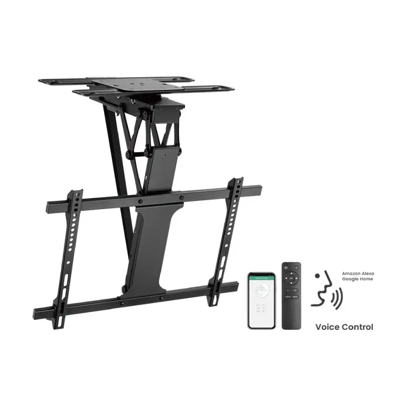 Montaje en el techo HiSmart (HS083977)