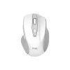 Rato Trust (25550_TRUST)