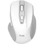 Rato Trust (25550_TRUST)