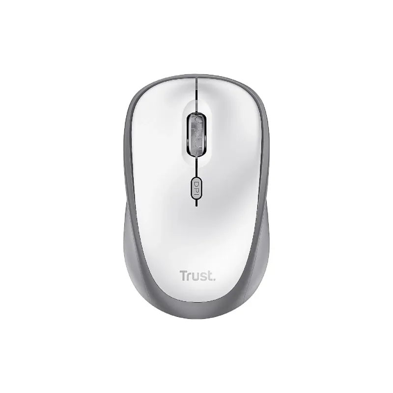 Rato Trust (25513_TRUST)