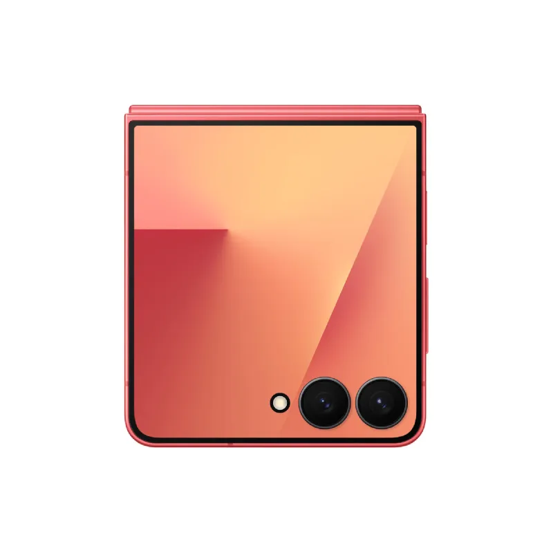 Смартфон Samsung Galaxy Flip 7 F766 (SM-F766BZRGSEK)