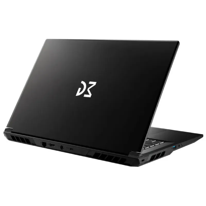 Ноутбук Dream Machines 17.3" FHD/IPS 32Gb/1Tb/i9-14900HX/RTX 5070-8/DOS Black (RG5070-17UA21)