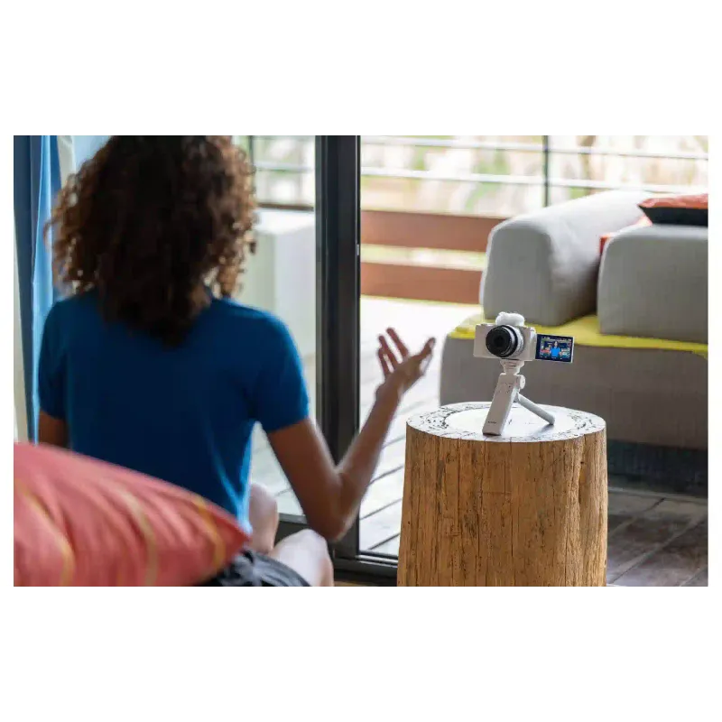 Kamera Sony (ZVE10M2W.CEC)