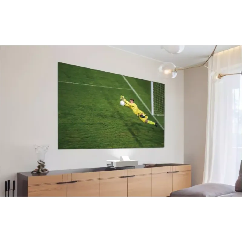 Fiksni zaslon Epson ELPS36 (V12H002AG0)