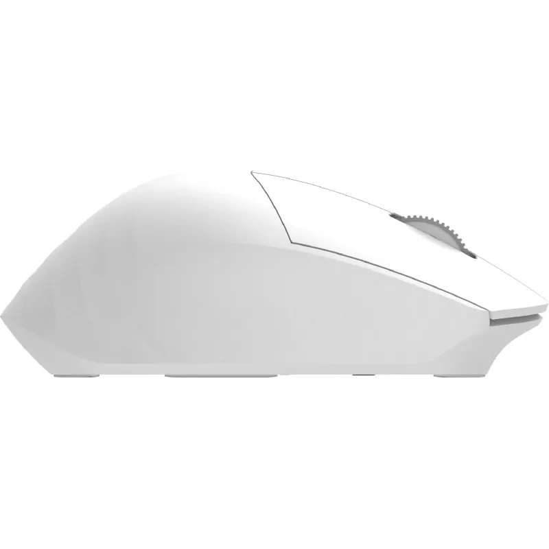 Mouse 2E  (2E-MF280WWH)