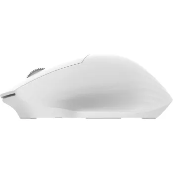 Mouse 2E  (2E-MF280WWH)