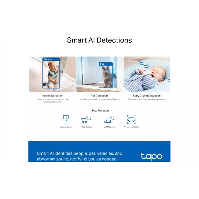 Câmera de vídeo IP TP-Link (Tapo C230)