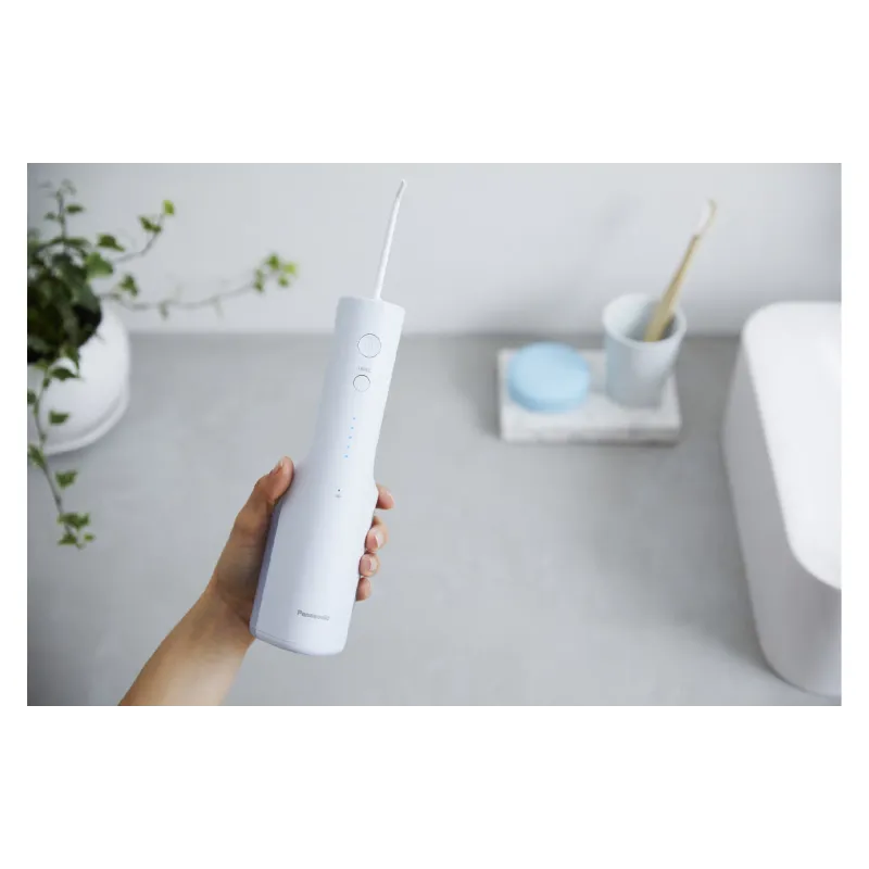 Bewässerungsgerät Panasonic (EW-DJ26-A321)