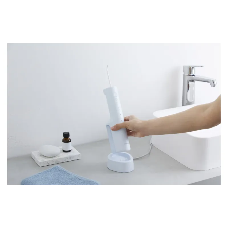 Bewässerungsgerät Panasonic (EW-DJ26-A321)