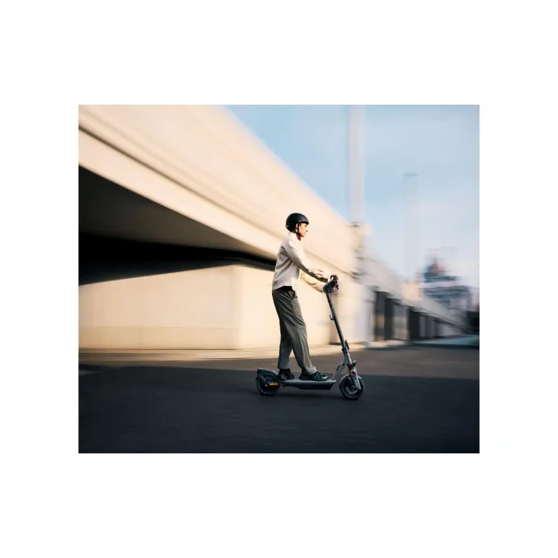 Ηλεκτρικό σκούτερ Segway F3 E, Grey (AA.05.17.01.0005)
