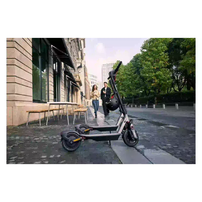 Ηλεκτρικό σκούτερ Segway F3 E, Grey (AA.05.17.01.0005)