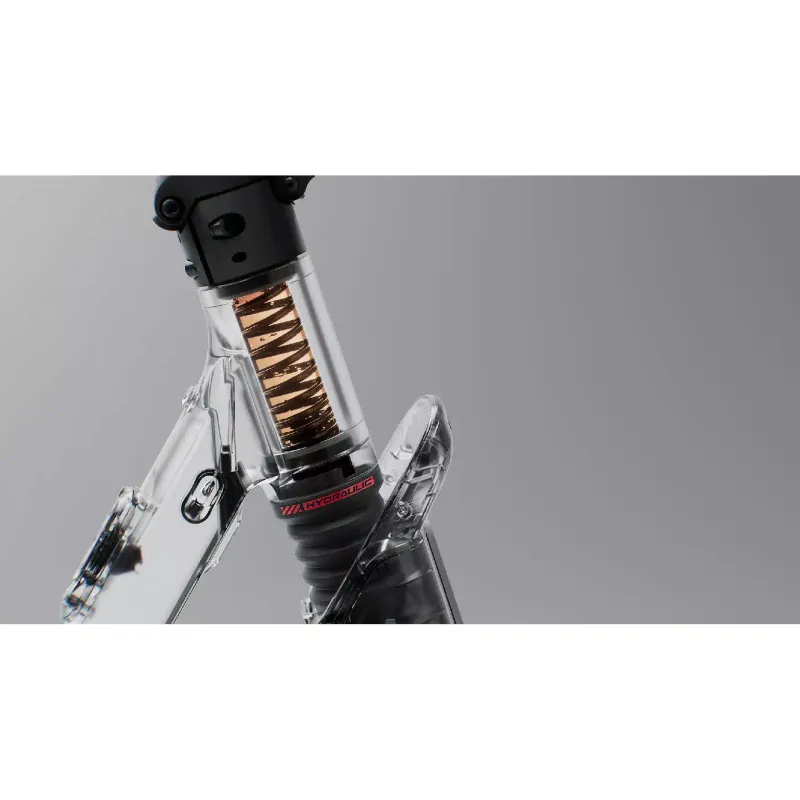 Ηλεκτρικό σκούτερ Segway F3 E, Grey (AA.05.17.01.0005)