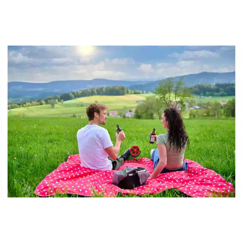 Вентилятор Einhell (3408061)