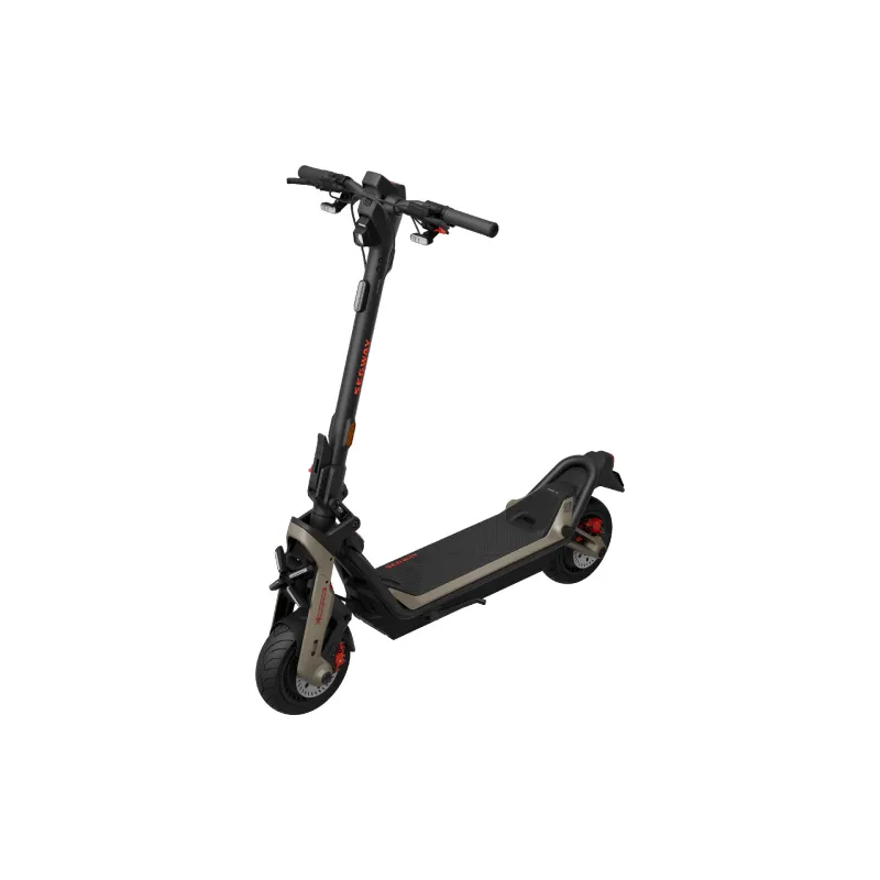 Electric scooter Segway GT3 Pro (AA.06.02.02.0004), Black