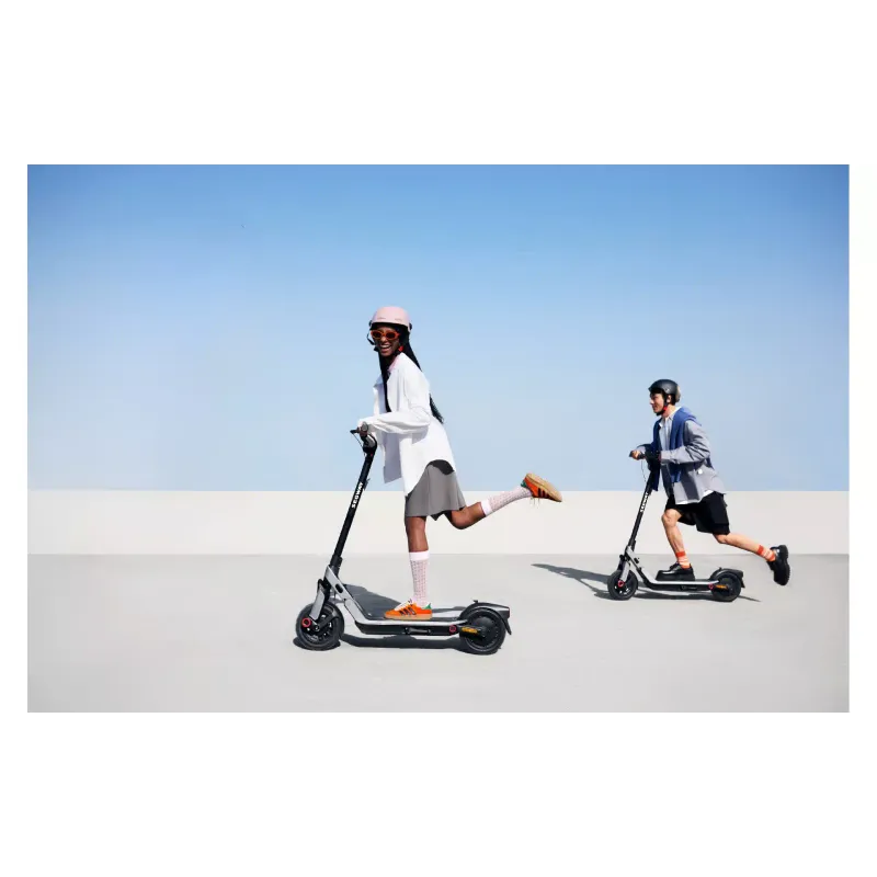 سكوتر كهربائي Segway F3 Pro E, Grey (AA.05.19.02.0003)