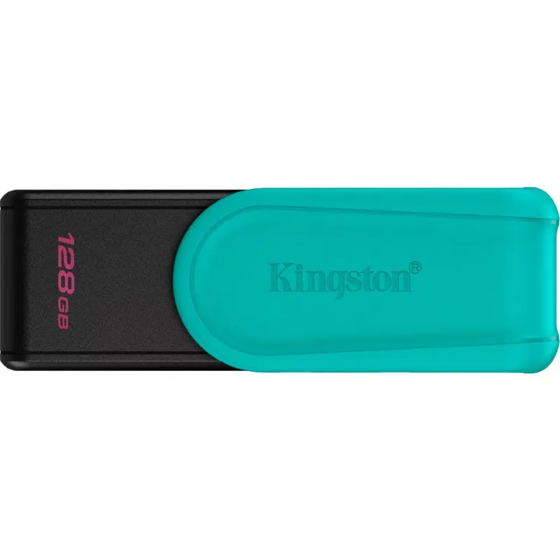 Накопичувач USB Kingston (DTXS/128GB)