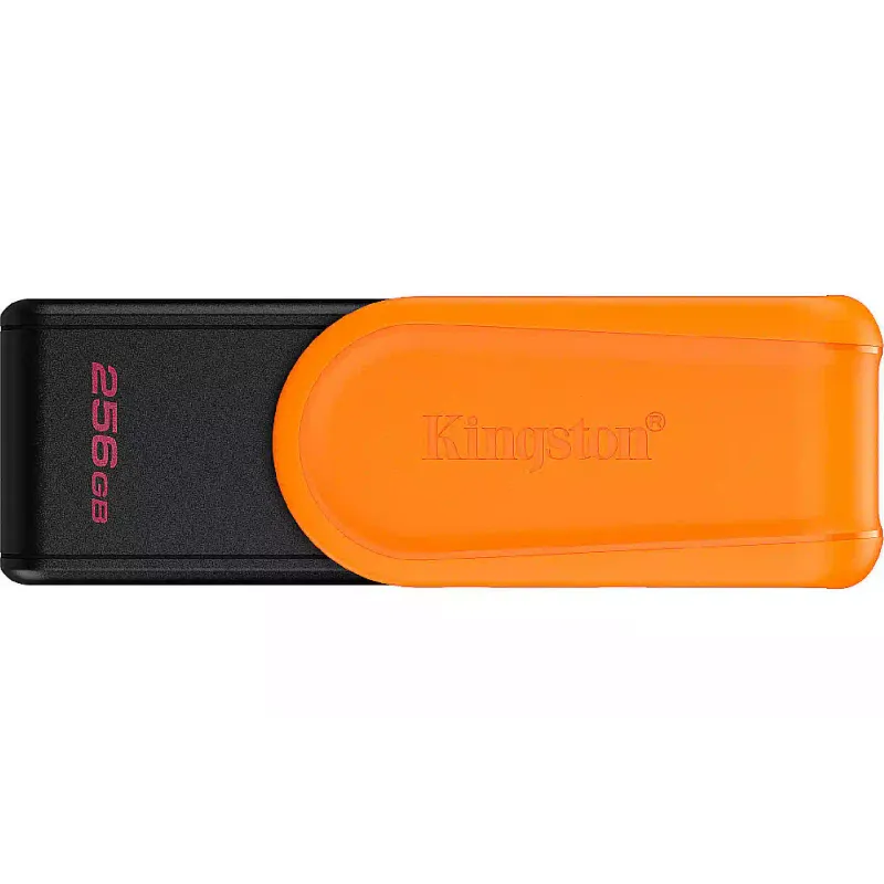 USB устройство Kingston (DTXS/256GB)