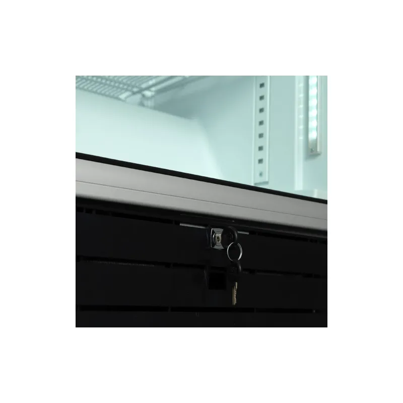 Ψυγμένη βιτρίνα Snaige, White (CD48DM-S300AD)