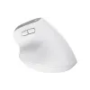 Mouse Trust  Ice (25399_TRUST)