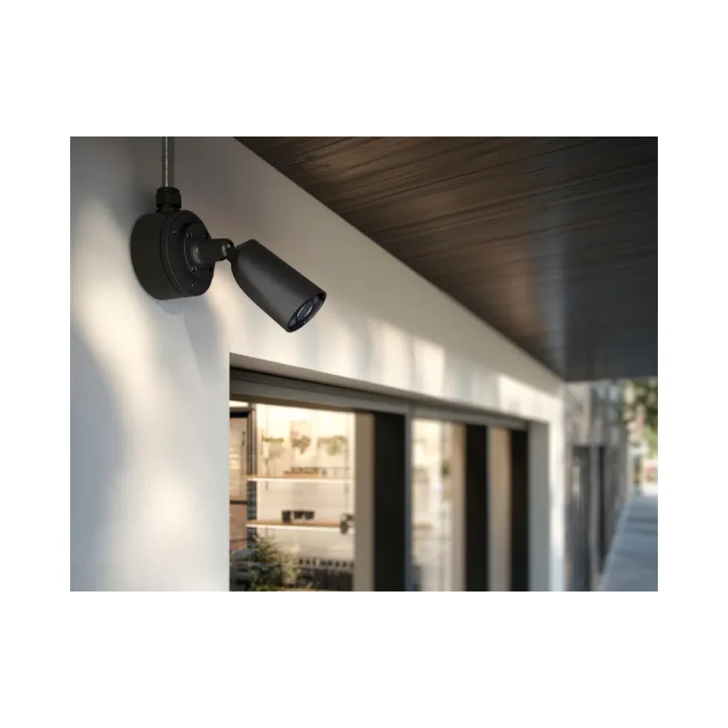 IP-відеокамера Ajax, Black (000059511)