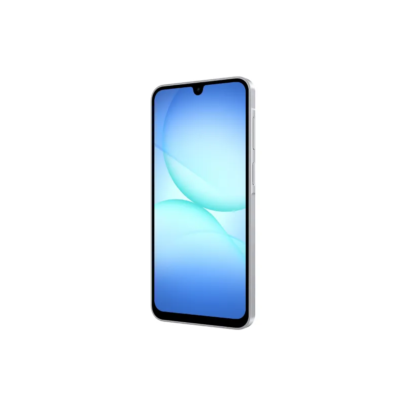 Smartphone Samsung Galaxy A17 A175, Gray (SM-A175FZABEUC)