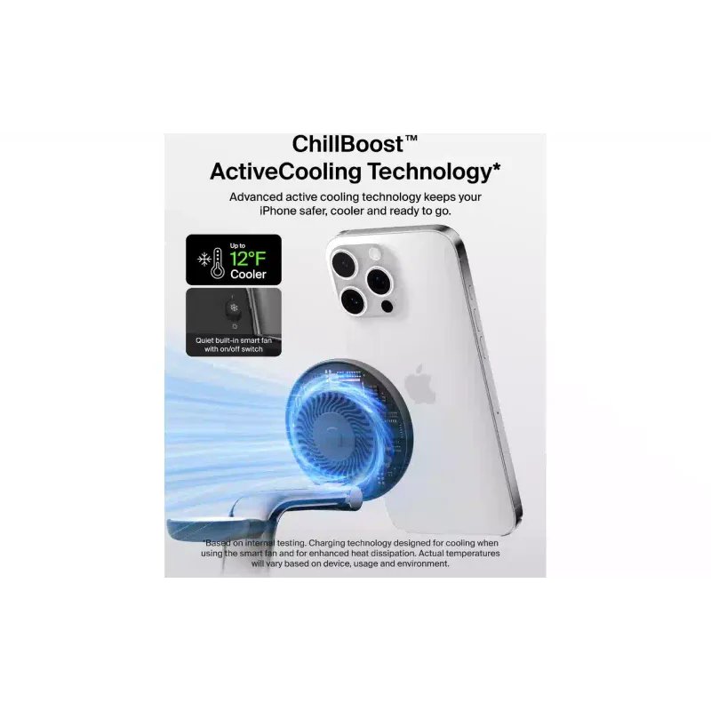 Ladegerät Belkin, Charcoal (WIZ040KQCH)