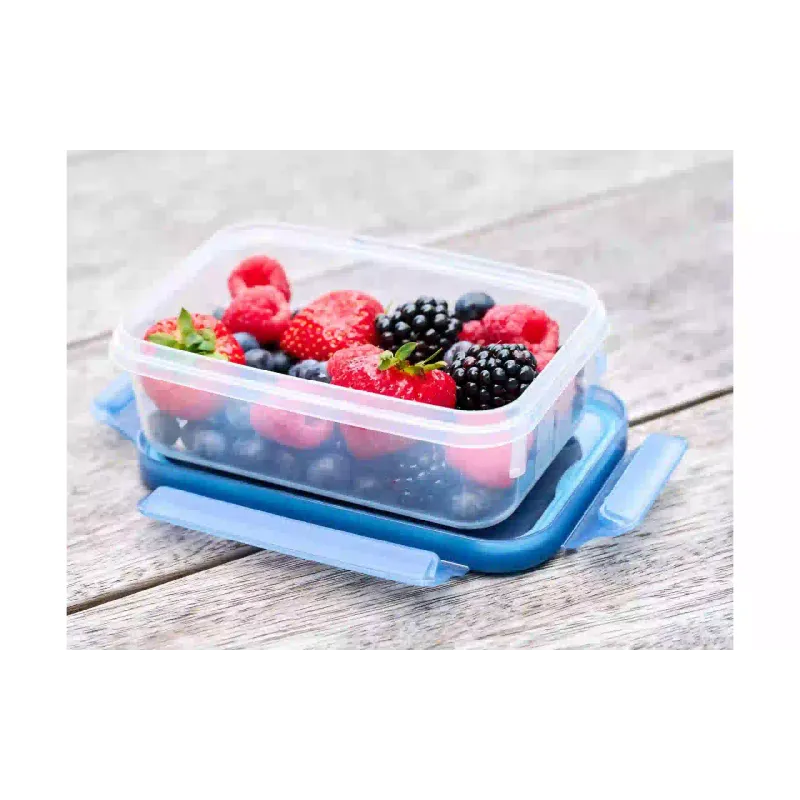 Storage container Tefal Master Seal Eco, Light Blue (N1171318)