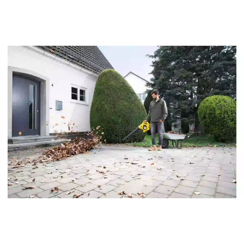 منفاخ Karcher (1.445-150.0)
