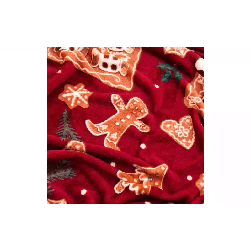 Pléd Ardesto Christmas Flannel  (ART0121PB)