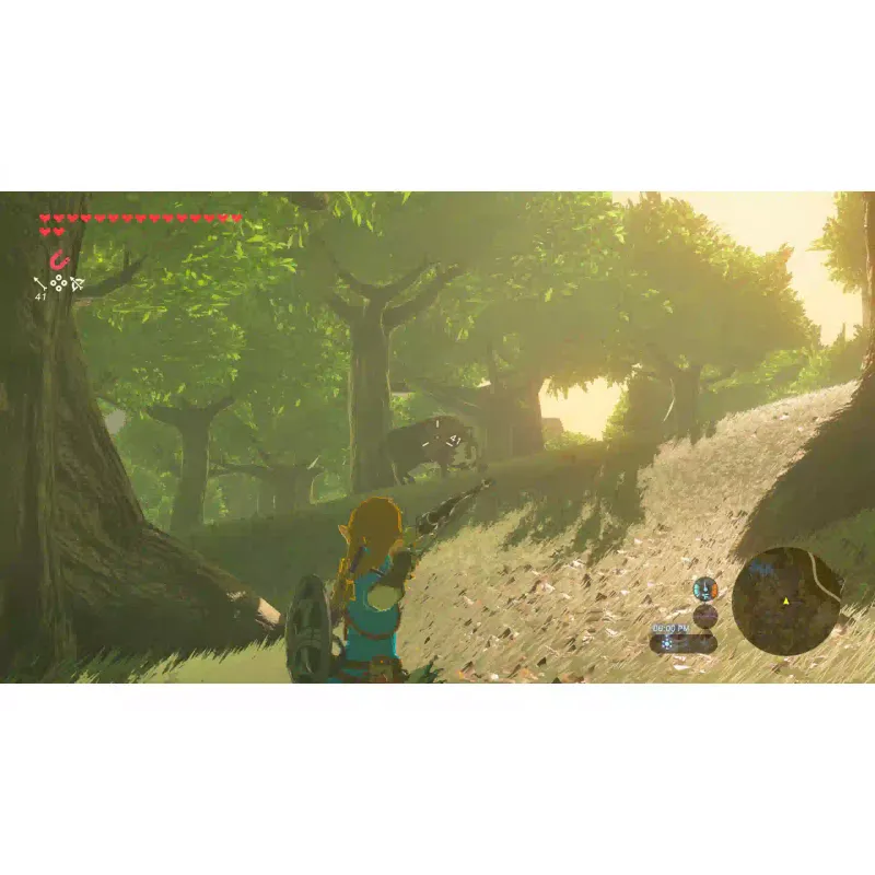 Game Games Software The Legend of Zelda Breath of the Wild  (0045496312664)