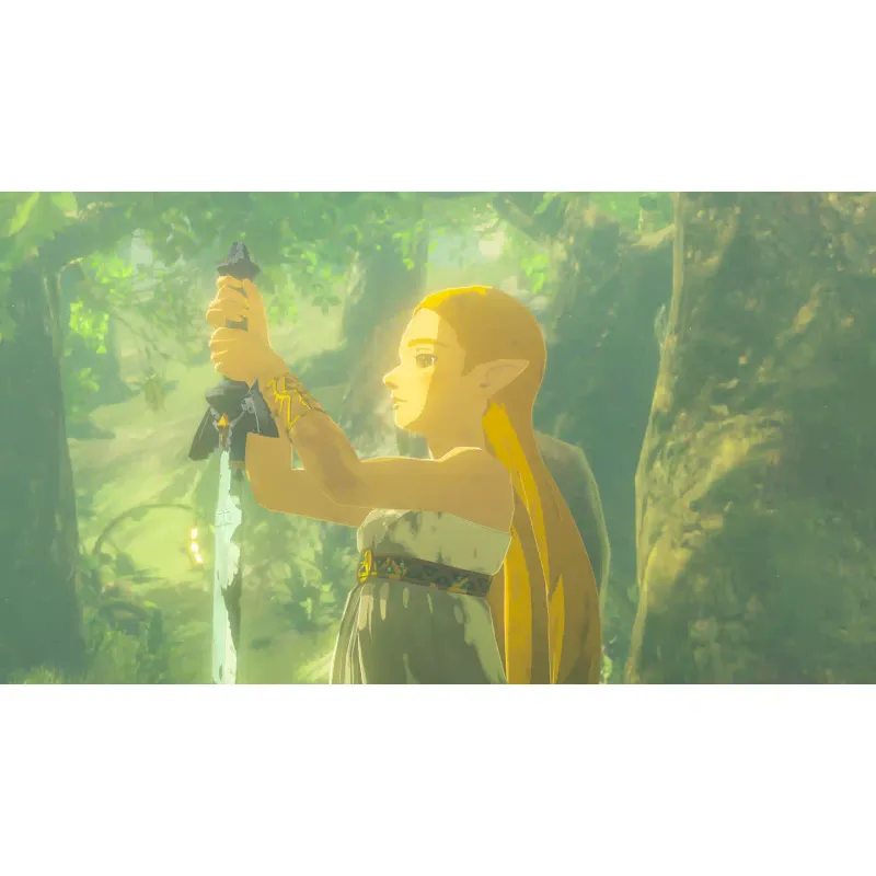 Game Games Software The Legend of Zelda Breath of the Wild  (0045496312664)