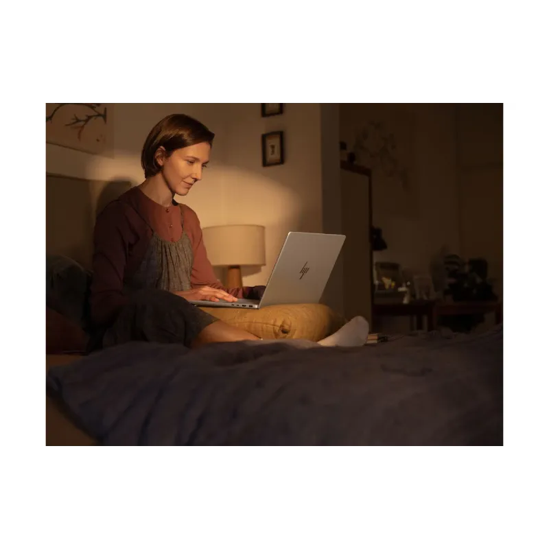 Φορητός υπολογιστής HP OmniBook 7 14-fs0002ua, Silver (C3UT6EA)