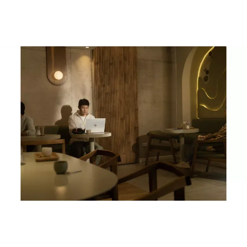 Φορητός υπολογιστής HP OmniBook 7 14-fs0002ua, Silver (C3UT6EA)